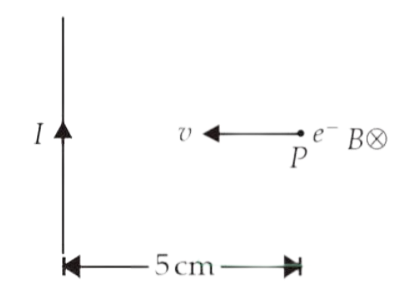 NEET 2013 (Karnataka) Physics - Moving Charges and Magnetism Question 57 English Explanation